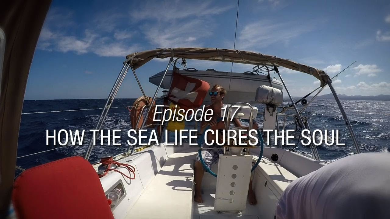 Winded Voyage 3 | Episode 17 | How The Sea Life Cures The Soul