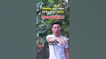 Hơn 2000m2 đất vườn - Tặng nhà cấp 4 #datnengiare #nhadep #batdongsan #viralvideo #xuhuongyoutube
