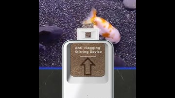 How to Feed Fish During Holidays and Business Trips—KIVNIEHI WiFi Automatic Fish Feeder