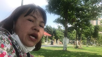 Khám phá Hồ điều hòa Văn Miếu lá phổi xanh của thành phố Bắc Ninh