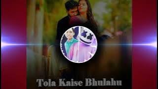 Tola Kaise Bhulahu || ( cg song ) old dj remix 2022 viral 🔥|| dj remix song ||dj opretar piyush ||