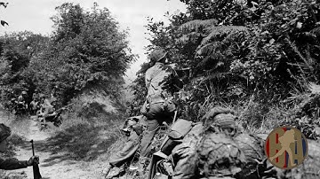 Operation Hedge Breaker | 23.11.25 | by Zex