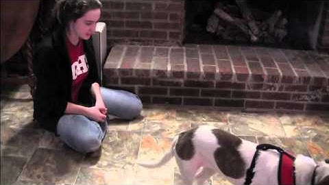 Down.Exercise 2.Add a Cue