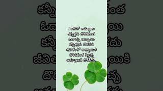 Inspirational quotes in telugu #trending #quotes #viral #life #motivation #shortvideo #shorts #short