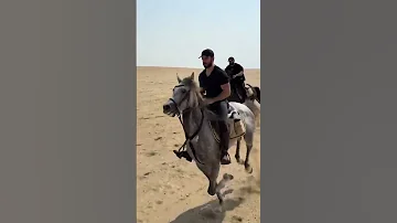 ركوب الخيل في الاهرامات اكسبلور مشاهير العرب دويتو كوميديات تيك توك ترند مصر 