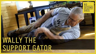 Wally the Emotional Support Gator