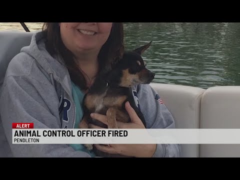 Video: Hunden skulle inte sluta följa djurkontrollofficer, så de gav henne ett hem och ett jobb!