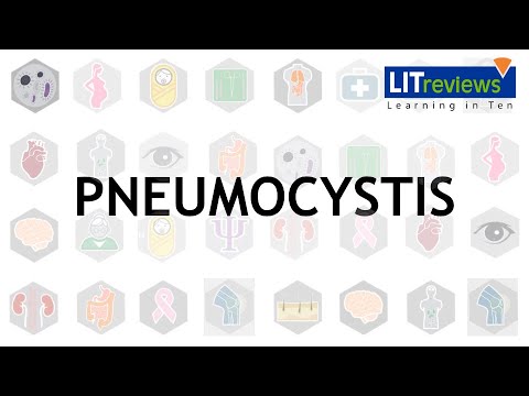 Pneumocystis