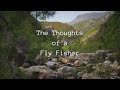 The thoughts of a fly fisher  cape streams south africa a very short film