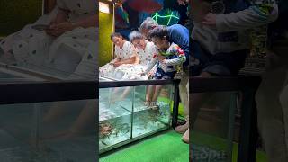 NR Fish Spa🥰 Besant Nagar beach +919952085544 #youtubeshorts #spa #cute #fish #yt #youtube #chennai