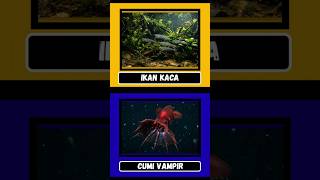 AYO TEBAK,HEWAN ALIEN KEPALA KACA ! Pecinta hewan pasti nyerah! #quizchallenge #quiz #shorts