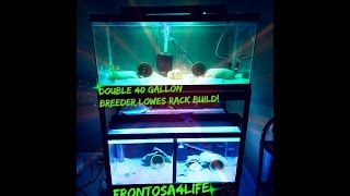 DIY, How To, Tutorial building Double 40 Gallon Breeder Rack from Amazon. Here