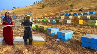مستند زندگی عشایری: داغ ترین روندهای دنیای تغذیه زنبور عسل توسط دختر و پسر عشایری
