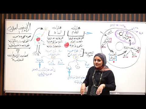 ست نورا الدايني الأحياء الفصل الأول المحاضره رقم 18 الأيض الخلوي التنفس