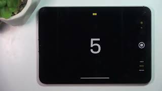 How to Set Up Camera Timer on APPLE iPad mini (2024)
