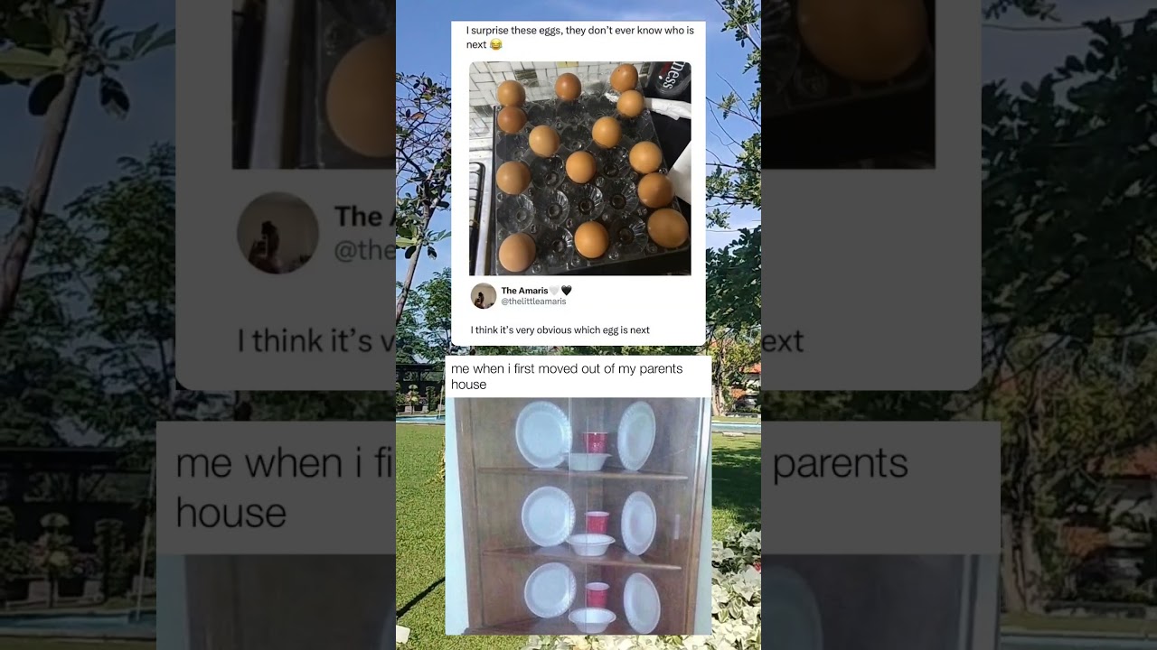 Minimal Kitchen Essentials After Moving Into a New Place 📦🍽️😅