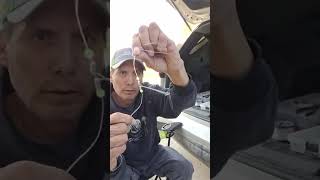 Modifying Pickerel Rigs #masterangler #assiniboineriver #fishing #riverfishing #bankfishing 