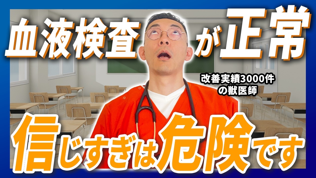 【犬】獣医師が教える「隠れ腎臓病」のサイン【猫】