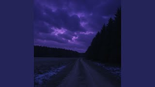 Owls - CALMYN