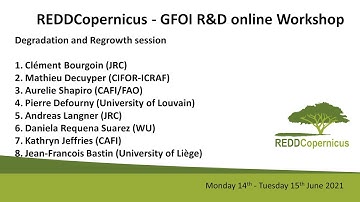 REDDCopernicus -  GFOI R&D Online Workshop - Degradation and Regrowth session