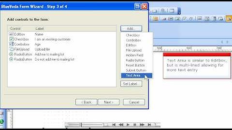 Form Wizard - Creating a form from Scratch with Bluevoda website builder fro VodaHost web hosting