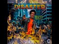 GROENLIEFDE DISS BY EASY 2023
