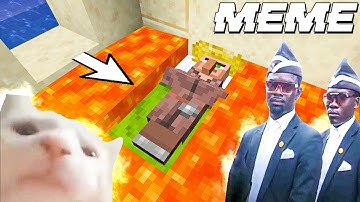 Coffin Meme but Cat is Vibing - Minecraft (part 3)