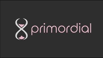 Primordial.fun vs Primordial.dev