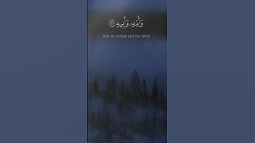 {يَوْمَ يَفِرُّ الْمَرْءُ مِنْ أَخِيهِ}"عَبَسَ"🌿القارئ شريف مصطفى