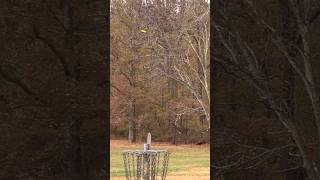 ✨️ Magic 🪄 being replicated is tough to do. #discgolf #highlights