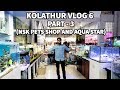 Kolathur Ornamental fish and Pet Market Vlog 6 |வண்ண மீன்கள் தமிழ் | Part 3