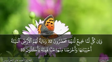 سورة يس كاملة مكتوبة ومسموعة بصوت القارئ احمد الحراسيس