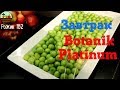 ЧЕМ КОРМЯТ❓👍 В BOTANIK PLATINUM