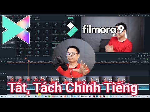 Video: Cách Tắt âm Thanh Chính