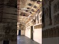 Palazzo del Bo a Padova #shortvideo #subscribe #italia