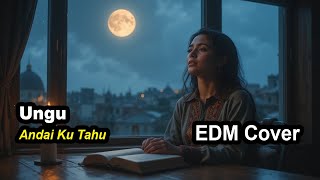 Ungu - Andai Ku Tahu (EDM Cover) by Mitha Remix