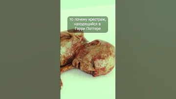Крестраж против Василиска #shorts  #гаррипоттер
