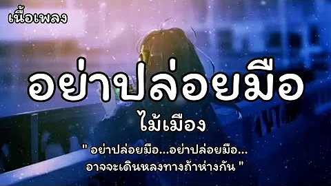 อย่าปล่อยมือ - ไม้เมือง (เนื้อเพลง)