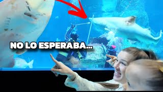 24 HORAS INCREÍBLES 🌊🐠 Del Acuario al Oasis 🌴✨