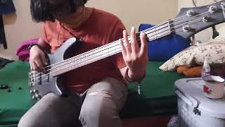 Waiting Cake (Bass cover) @cake #cake #waiting