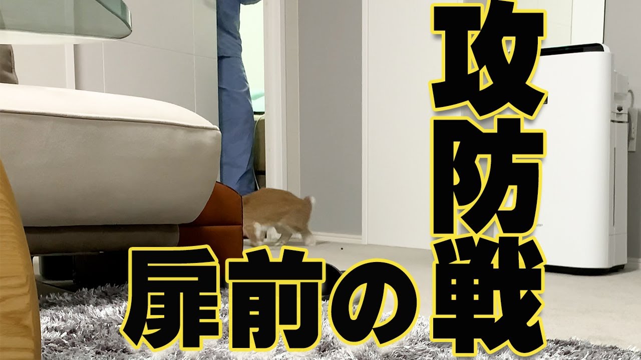 隙間が気になる