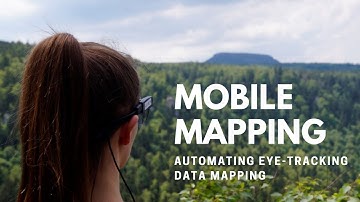 Automatic gaze mapping by Psychosensing Lab PSNC