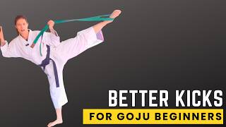 Higher, Stronger Kicks: The Ultimate Hip Mobility Guide for Karate Beginners