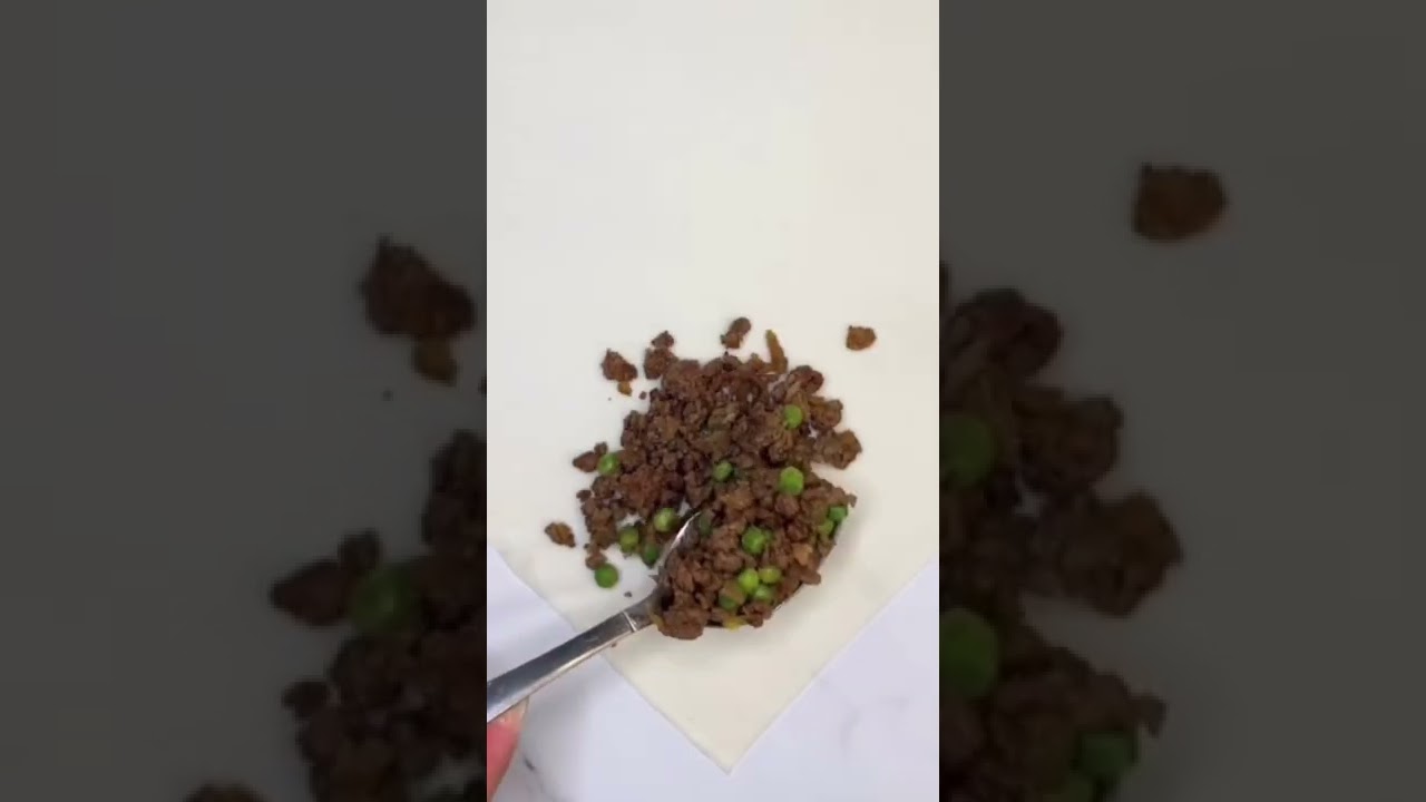 Ramadan special mince lamb spring rolls 