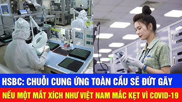 HSBC: Chuỗi cung ứng toàn cầu sẽ ĐỨT GÃY nếu một MẮT XÍCH như Việt Nam mắc kẹt vì COVID-19