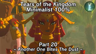 Tears of the Kingdom Minimalist 100% Part 20 - Another One Bites The Dust