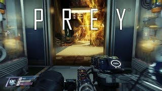Prey: A game of choices