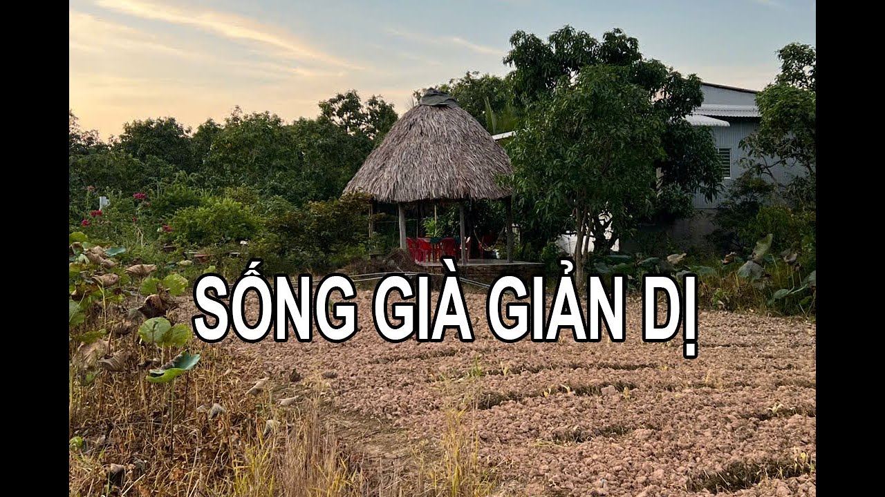 SỐNG GIÀ GIẢN DỊ LÀ Ý THỨC CHỌN CHO MÌNH CÁI GÌ PHÙ HỢP NHẤT