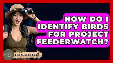 How Do I Identify Birds For Project FeederWatch? - Bird Watching Diaries