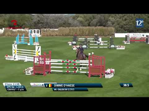 Dalido BV Z - CSIYH1* 7 y old Vejer de la Frontera - 11 02 2025